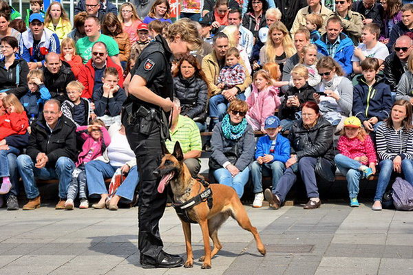 Polizeishow   056.jpg